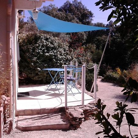 شقة Les Florides LʼIsle-sur-la-Sorgue المظهر الخارجي الصورة