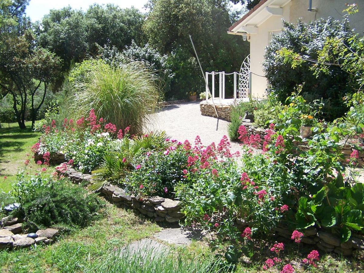 شقة Les Florides LʼIsle-sur-la-Sorgue المظهر الخارجي الصورة