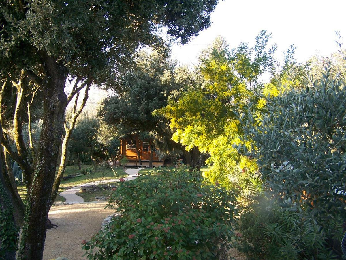 شقة Les Florides LʼIsle-sur-la-Sorgue المظهر الخارجي الصورة